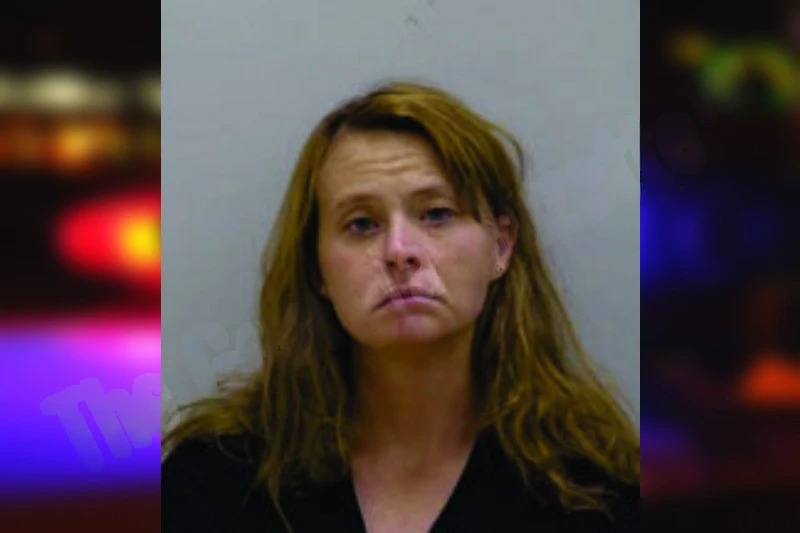 Tamatha Hearn mugshot – Bartow County , Georgia Tamatha Hearn mugshot
