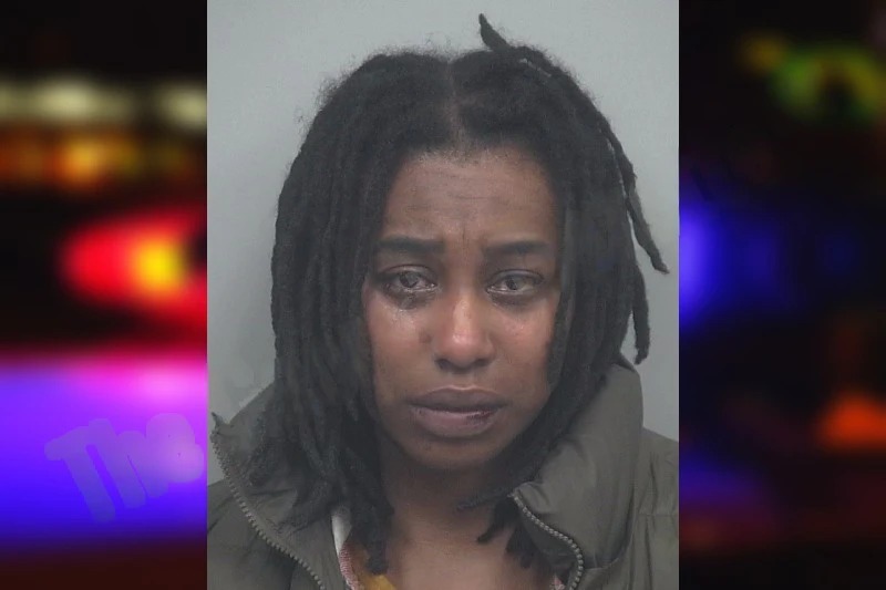 Tamika Hicks mugshot – Gwinnett County , Georgia Tamika Hicks mugshot