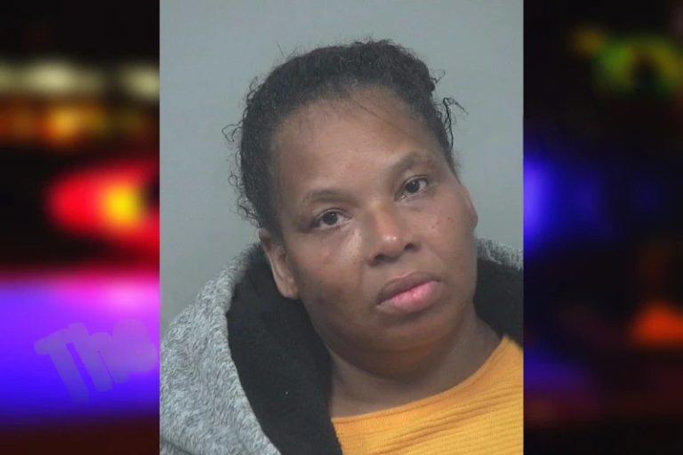 Tammy Curtis mugshot – Gwinnett County , Georgia Tammy Curtis