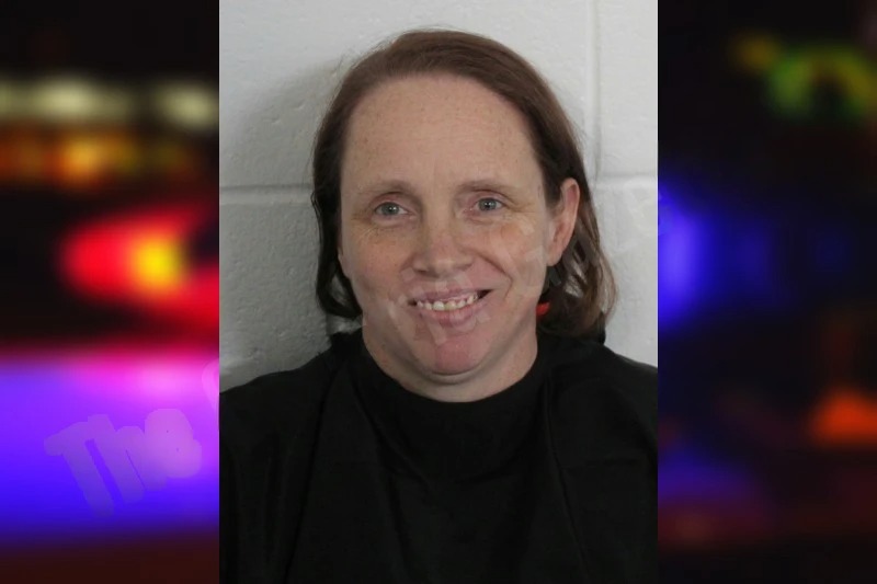 Tammy Hatcher Mugshots