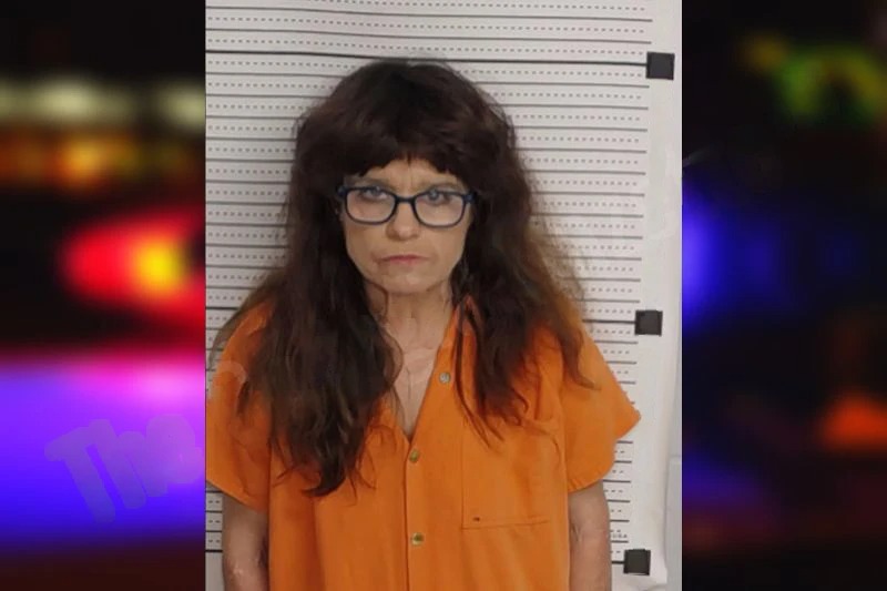 Tammy Newell mugshot