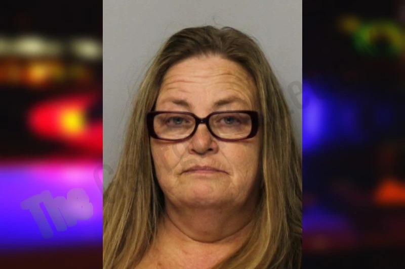 Tammy Synenberg Mugshots