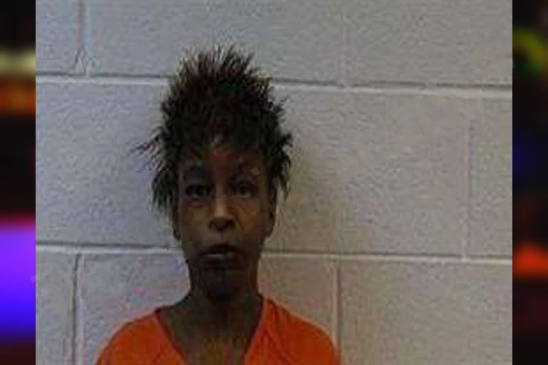 Tanya Hutchinson Mugshots