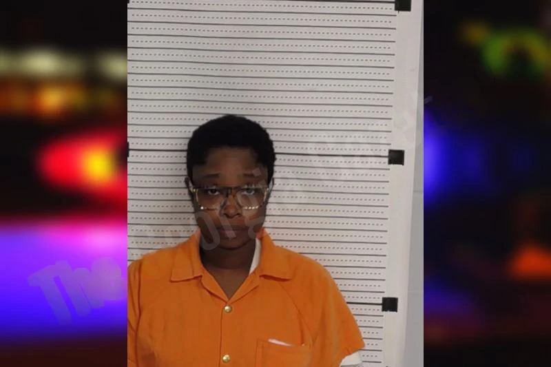 Tanzia McLendon mugshot