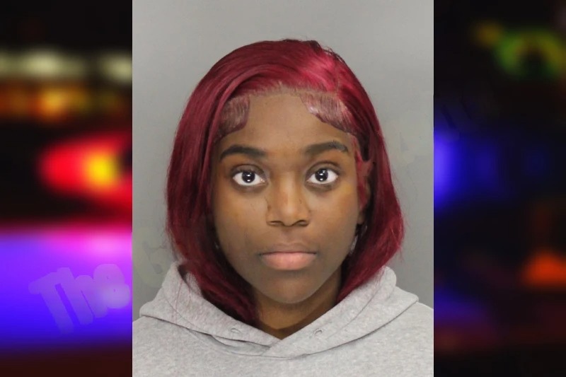 Tashiyah David mugshot