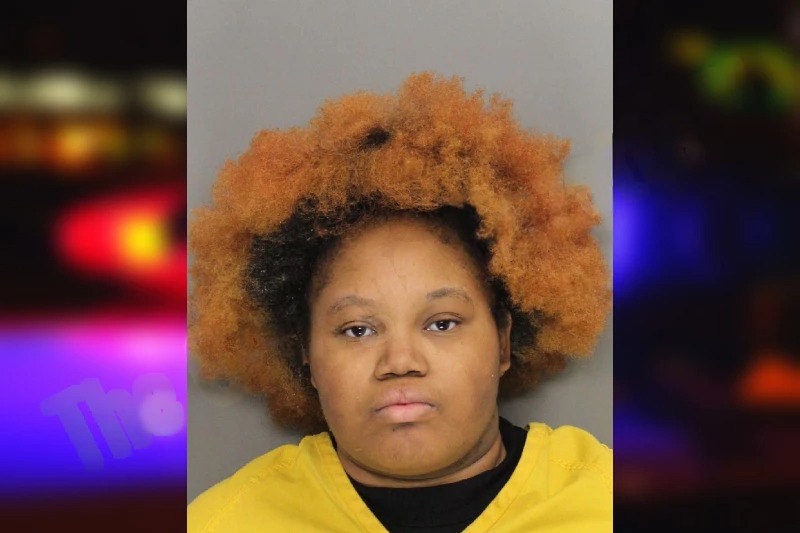 Taylor Evans Mugshots