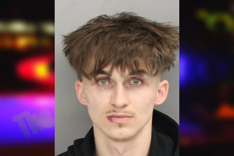 Taylor McCutcheon Mugshots