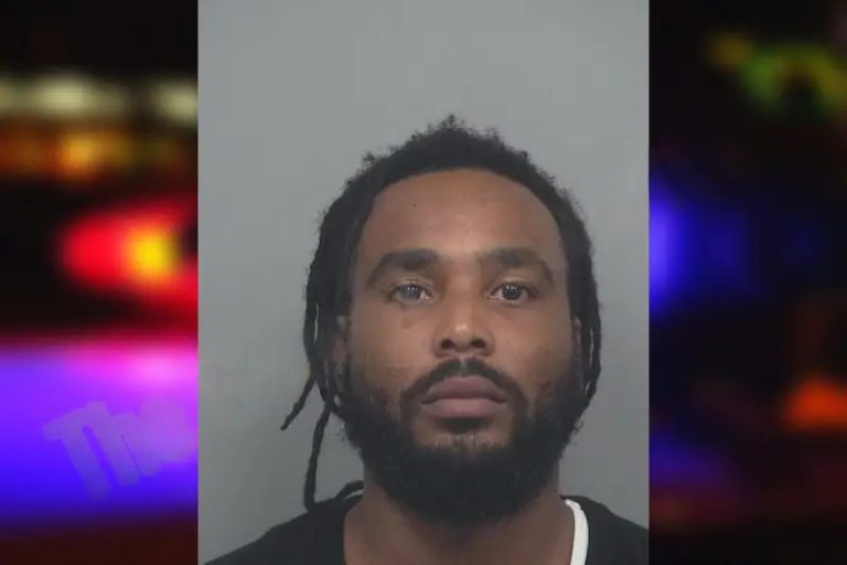 Taylor Varmall mugshot – Gwinnett County , Georgia Taylor Varmall