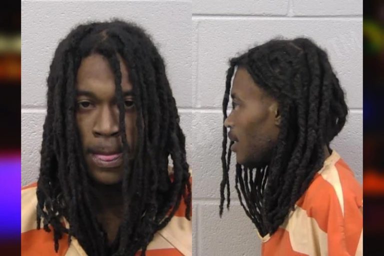 Telvin Pritchett mugshot – Paulding County , Georgia Telvin Pritchett