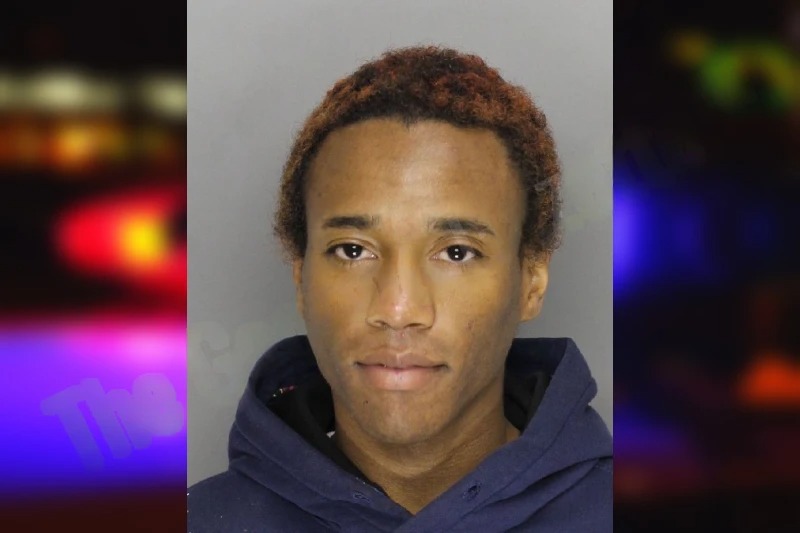 Temarkus Reid mugshot – Cobb County , Georgia Temarkus Reid mugshot