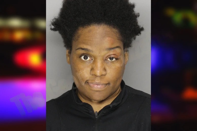 Tempestt Wortham mugshot – Cobb County , Georgia Tempestt Wortham mugshot