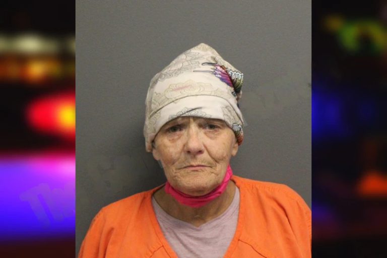 Teresa King mugshot – Lumpkin County , Georgia Teresa King