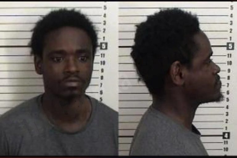 Terrance Williams mugshot – Camden County , Georgia Terrance Williams