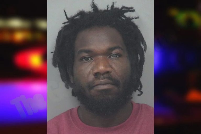 Terrence Gibson mugshot – Gwinnett County , Georgia Terrence Gibson