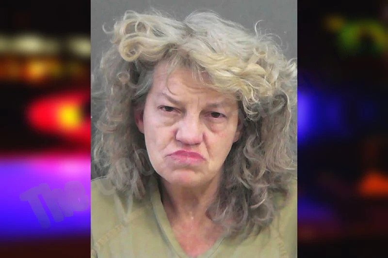 Terri Jodison Mugshots