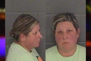 Terri Mullinax mugshot