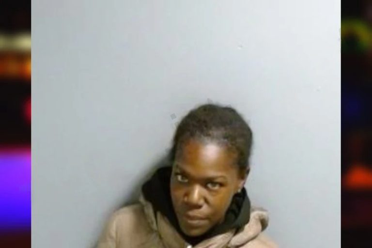 Tiara Bloodworth mugshot – Fulton County , Georgia Tiara Bloodworth