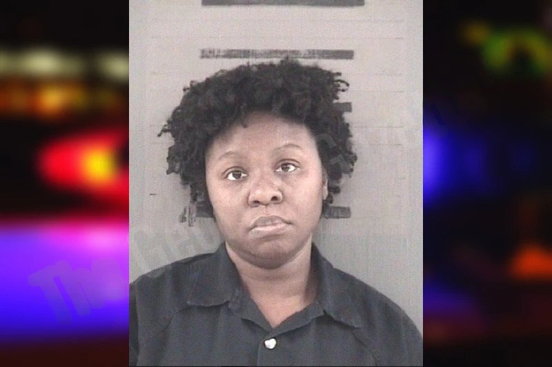 Tifanie Hudson Mugshots