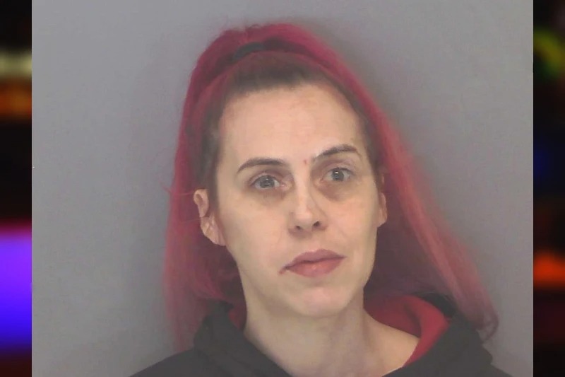 Tiffany Hicks mugshot – Douglas County , Georgia Tiffany Hicks mugshot