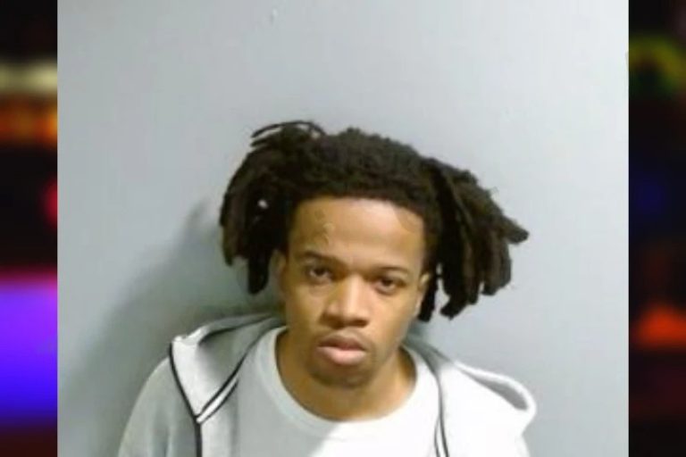 Tiger Hollingsworth mugshot – Fulton County , Georgia Tiger Hollingsworth