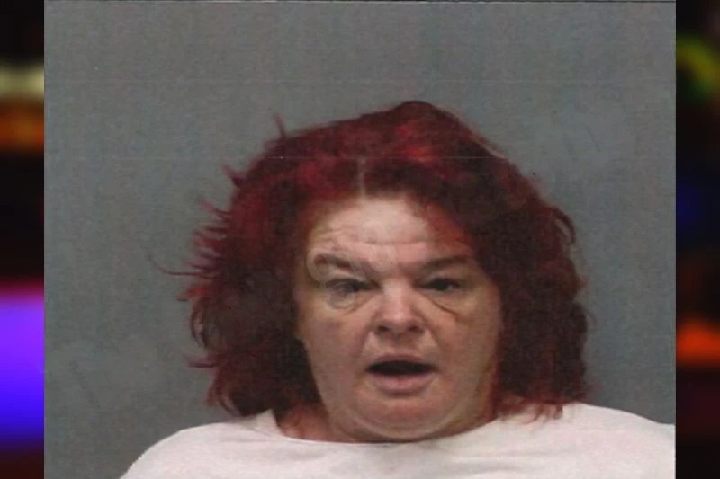 Tina Chastain Mugshots