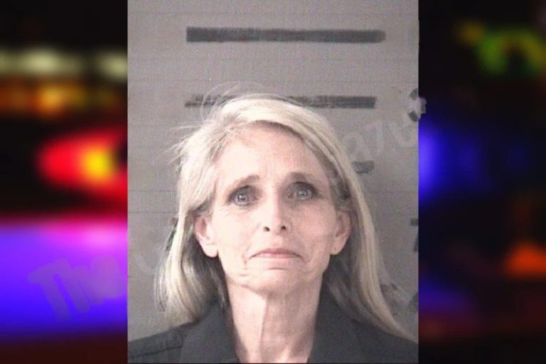 Tina Foley mugshot – Dougherty County , Georgia Tina Foley