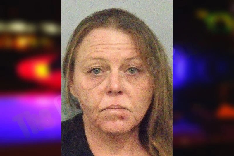 Tina Lowery Mugshots