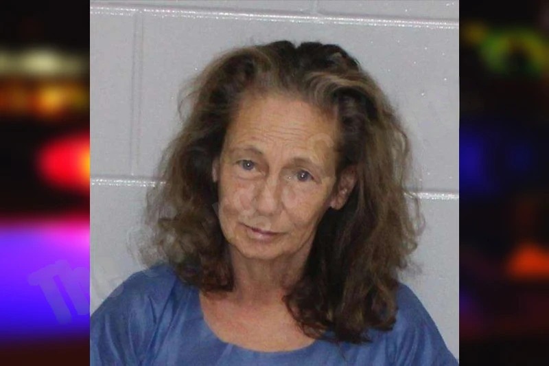 Tina Yocum mugshot – Morgan County , Georgia Tina Yocum mugshot