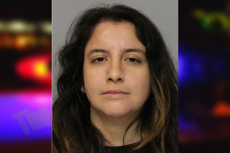 Tonia Aguirre mugshot