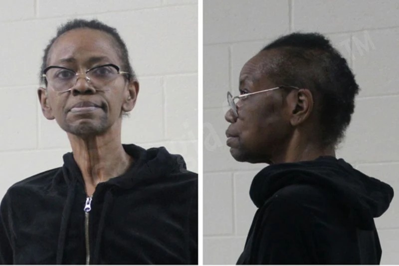 Tonia Lewis Mugshots