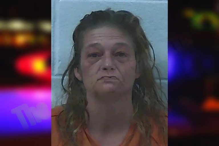 Tonya Hill mugshot – Jackson County , Georgia Tonya Hill