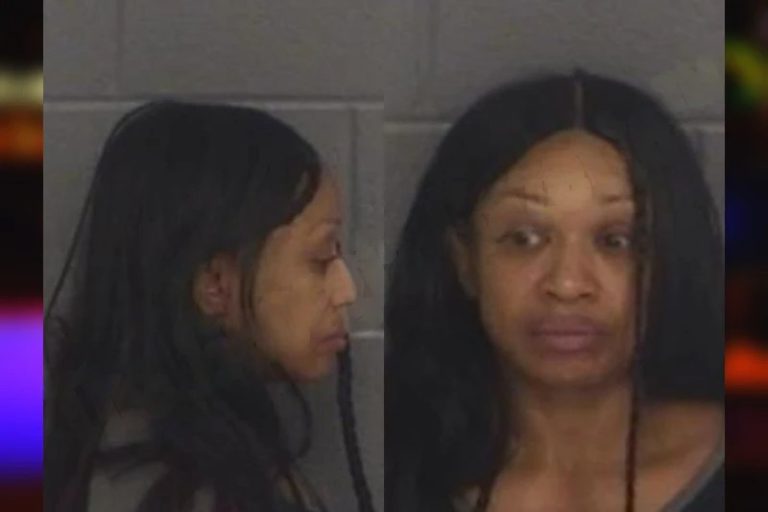 Tosha Johnson mugshot – Barrow County , Georgia Tosha Johnson