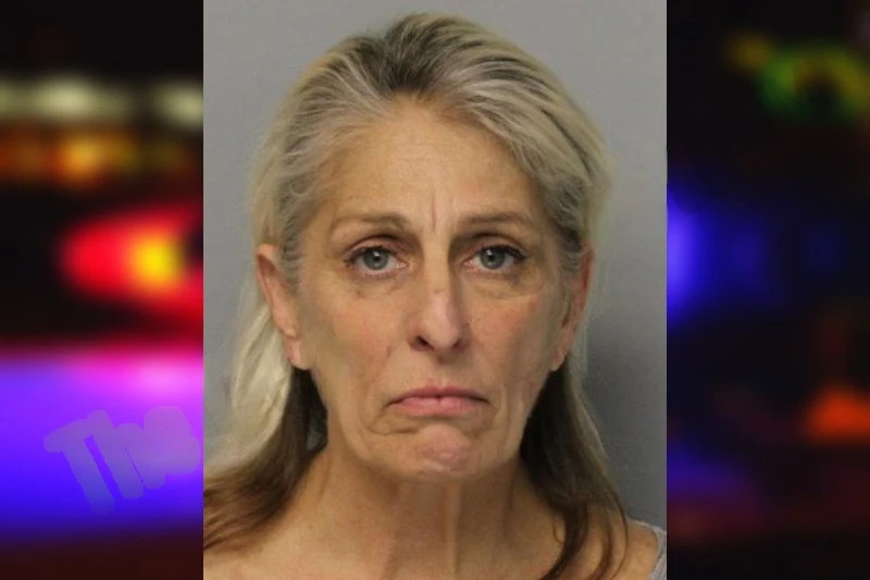 Tracey Dean-Seidel mugshot – Hall County , Georgia Tracey Dean-Seidel mugshot