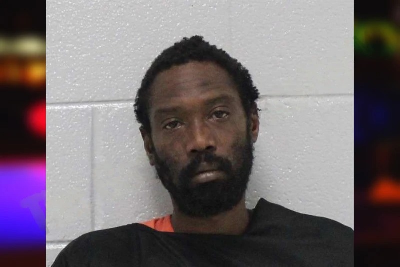 Tracy Freeland Mugshots