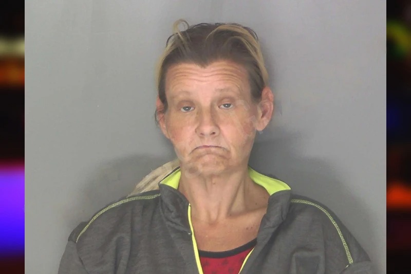 Tracy Gravitt mugshot – Douglas County , Georgia Tracy Gravitt mugshot
