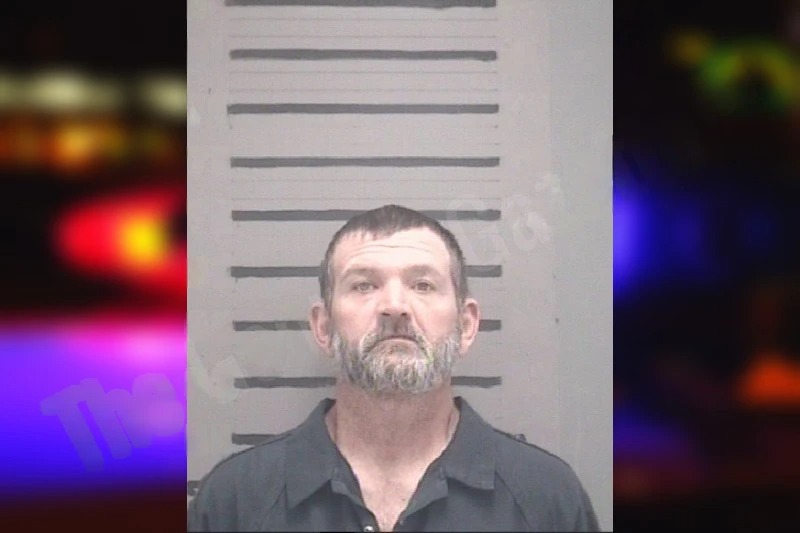 Tracy Holley Mugshots