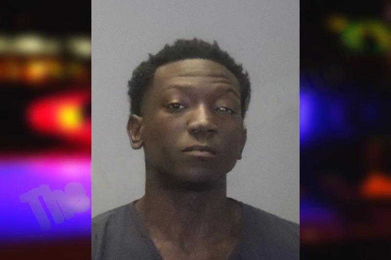 Tracy Johnson Mugshots