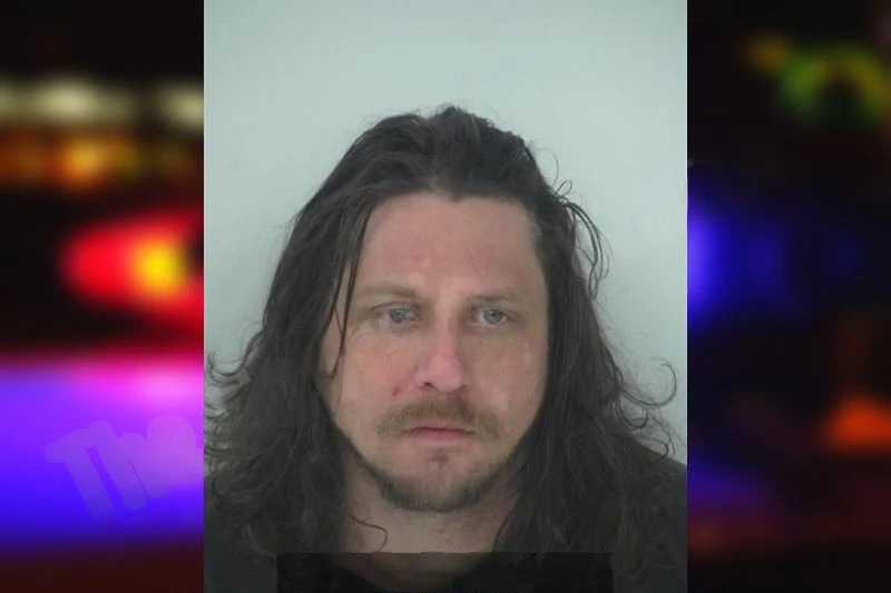 Tracy McDonald mugshot