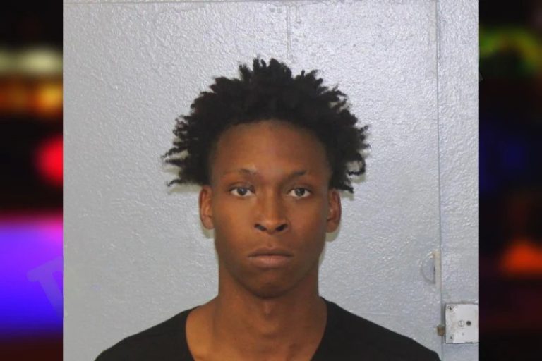 Tracy Palmer mugshot β Mcintosh County , Georgia Tracy Palmer