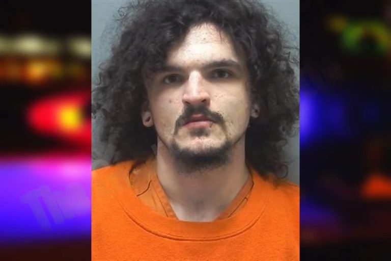 Tristen Little mugshot – Cherokee County , Georgia Tristen Little