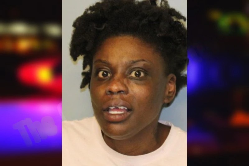 Troia Sheard mugshot – Hall County , Georgia Troia Sheard mugshot