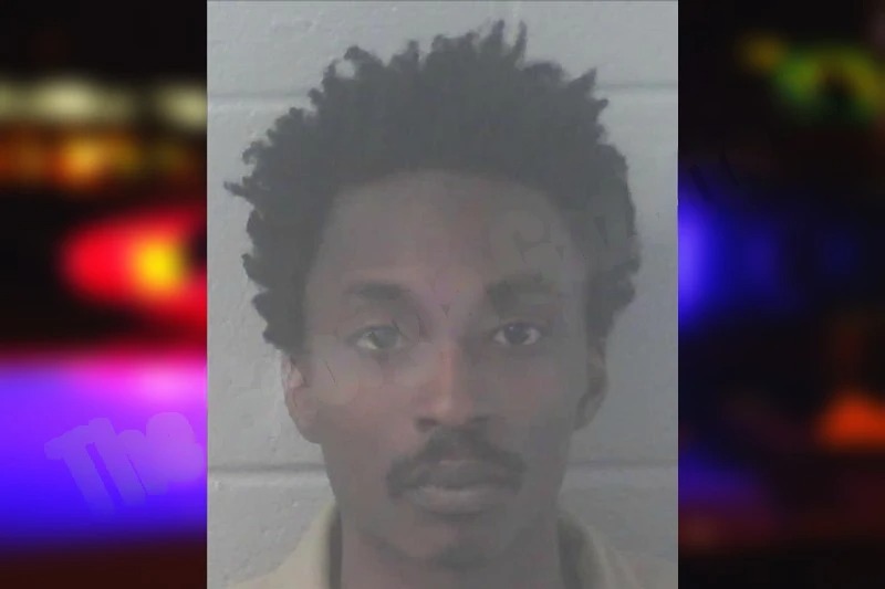 Tyler Taylor mugshot – Newton County , Georgia Tyler Taylor mugshot