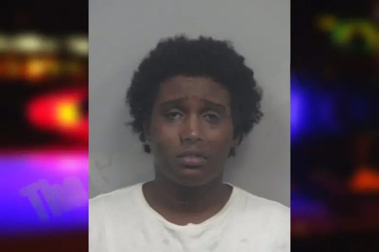 Tywanna Williams mugshot – Gwinnett County , Georgia Tywanna Williams