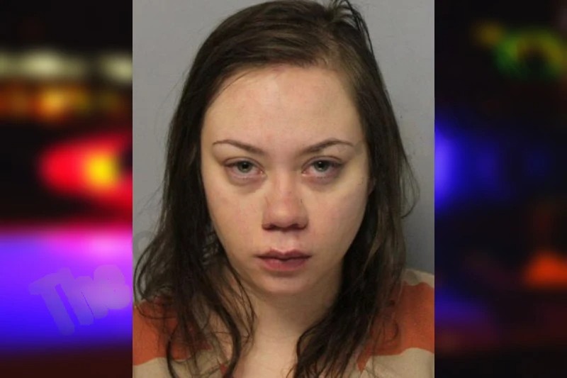 Vanessa Barrett mugshot – Hall County , Georgia Vanessa Barrett mugshot