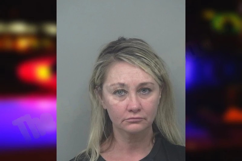 Vanessa Nash mugshot