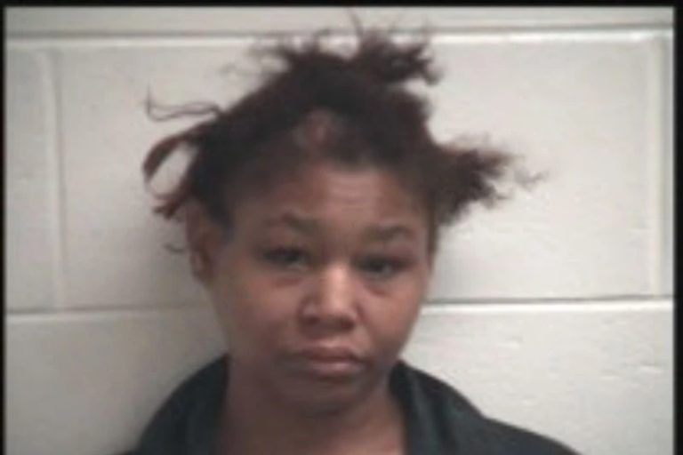 Venetia Simmons mugshot – Henry County , Georgia Venetia Simmons