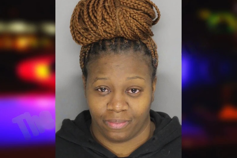 Venicia Jackson mugshot – Cobb County , Georgia Venicia Jackson mugshot