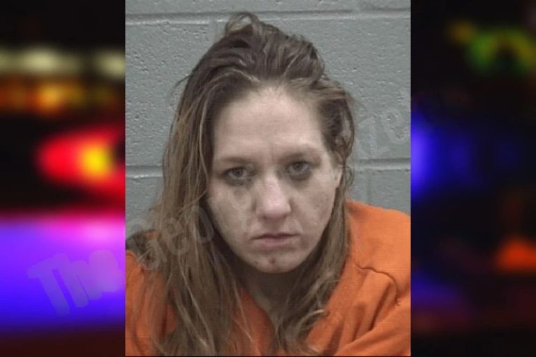 Victoria Ragonton-Ernst mugshot – Columbia County , Georgia Victoria Ragonton-Ernst