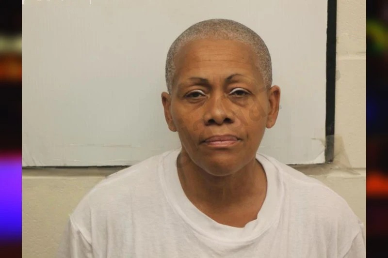 Vivian Gallagher mugshot