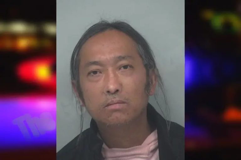 Vu Tran mugshot – Gwinnett County , Georgia Vu Tran